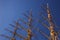 Mast on an old wooden sail ship