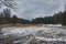 Mast pines and high birches in the gloomy winter, snow-covered park, art processing.