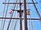 Mast and ropes of a sailing ship with the flags of Spain and Euskadi waving in the wind