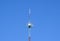 Mast tower relay Internet signals and telephone signals