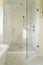 Master Bathroom Shower