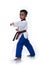 Master Belt TaeKwonDo athletes fighting pose boy