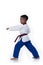 Master Belt TaeKwonDo athletes fighting pose boy