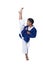 Master Belt TaeKwonDo athletes fighting pose boy