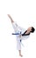 Master Belt TaeKwonDo athletes fighting pose boy