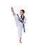 Master Belt TaeKwonDo athletes fighting pose boy