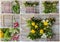 Master class, a children`s craft floristry. Tapestry made of natural materials.