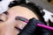 Master performs the procedure of coloring the eyebrows with paint on the model after performing the procedure of lamination of