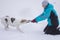 Master playing with mixed breed dog trying to pull out rope from the dog`s teeth