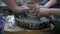 Master and pupil making a ceramic bowl on pottery wheel in a workshop. Slow motion 120 fps.