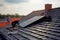 The master repairs the roof tiles of the house. Roofing, repair and renovation work. Generative AI