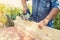 The master sharpens the wooden panel with an electric sander on a Sunny day in the garden.