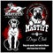 Mastiff - vector set for t-shirt, logo and template badges