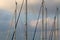 Masts