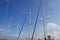 Masts of Docked Sailboats