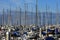 Masts rise from sail boats moored in crowded marina.