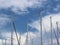 Masts of sailing yachts against the blue sky with white clouds. Yacht in the marina during the morning dawn sailing past the moore