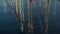 Masts of ships are reflected in the water. Modern ships are in the bay. Top down panorama