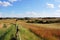 Masuria field near Olecko, Poland