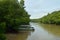 Matang Mangrove Forest Reserve