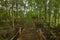 Matang Mangrove Forest Reserve