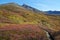 Matanuska Peak