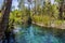 mataranka hot springs in waterhouse river, mataranka, northern territory, australia