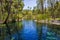 Mataranka hot springs in waterhouse river, mataranka, northern territory, australia