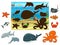 Match the animals and fish to their shadows