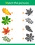 Match the right shadow. Leaves of trees. Leaf of oak, maple, chestnut and rowan. Puzzle for kids. Matching game, education game