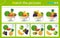 Matching game, education game for children. Puzzle for kids. Match by elements. Vases with fruits and berries. Grape, apple, kiwi