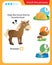 Matching game, education game for children. Puzzle for kids. Match the right object. Help the horse find its favorite food