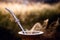 Mate bowl, outdoors. Yerba mate typical of Argentina, Brazil and Uruguay. Mountain scenery in the background. It consists of a