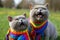 maternal love between two british shorthair cats, a mother and her kitten, who proudly wear lgtbi flags on their necks, Generative