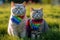 maternal love between two british shorthair cats, a mother and her kitten, who proudly wear lgtbi flags on their necks, Generative