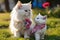 maternal love between two Persian cats, a mother and her kitten, who proudly wear lgtbi flags on their necks, Generative AI