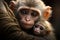 Maternal monkey embraces both motherhood and spousal connection with affection