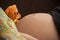 Maternity, pregnant woman with cute orange teddy bear