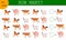 math game for kids to count the animals
