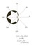 A mathematically simulated sheet of maple and cardioid, constructed in a polar coordinate system. Trigonometric formulas.