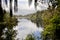 Matheson lake, New Zealand