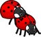 Mating couple of cute cartoon ladybirds on white background