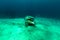 Mating green turtles in the Red Sea.