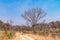 Matopos Matobo National Park in southern Zimbabwe