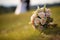 Matrimonial charm Wedding bouquet on grass, couple in the backdrop