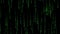 Matrix Background, Green Digital Rain on Monitor Screen Close-Up