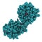 Matrix metalloproteinase 12 MMP-12, macrophage elastase enzyme. MMPs are proteases involved in the breakdown of extracellular.