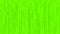 The Matrix style text code in green color and background