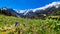 Matschacher Gupf - A panoramic view on Baeren Valley in Austrian Alps. The highest peaks in the chain are snow-capped