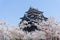 Matsue castle with sakura blooming season